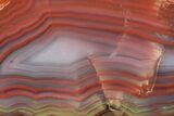Colorful, Polished Patagonia Agate - Highly Fluorescent! #214922-2